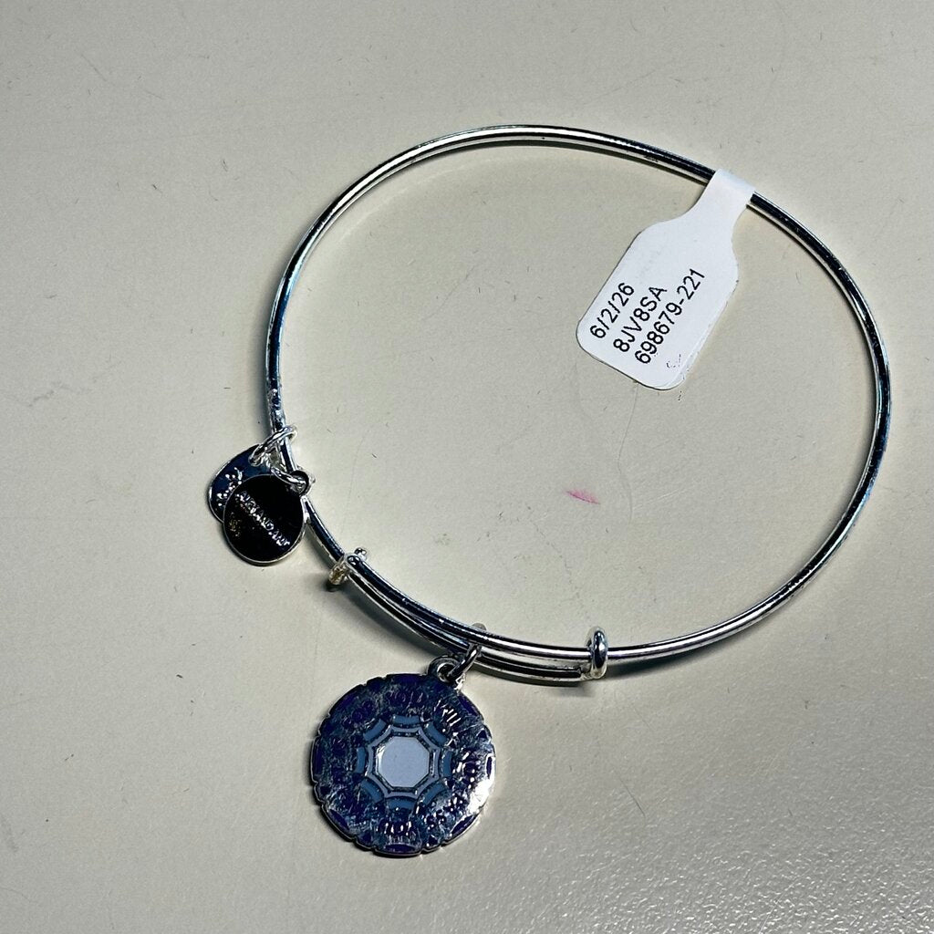 Alexi and Ani Silver What Is For You Will Not Pass You Bangle Bracelet
