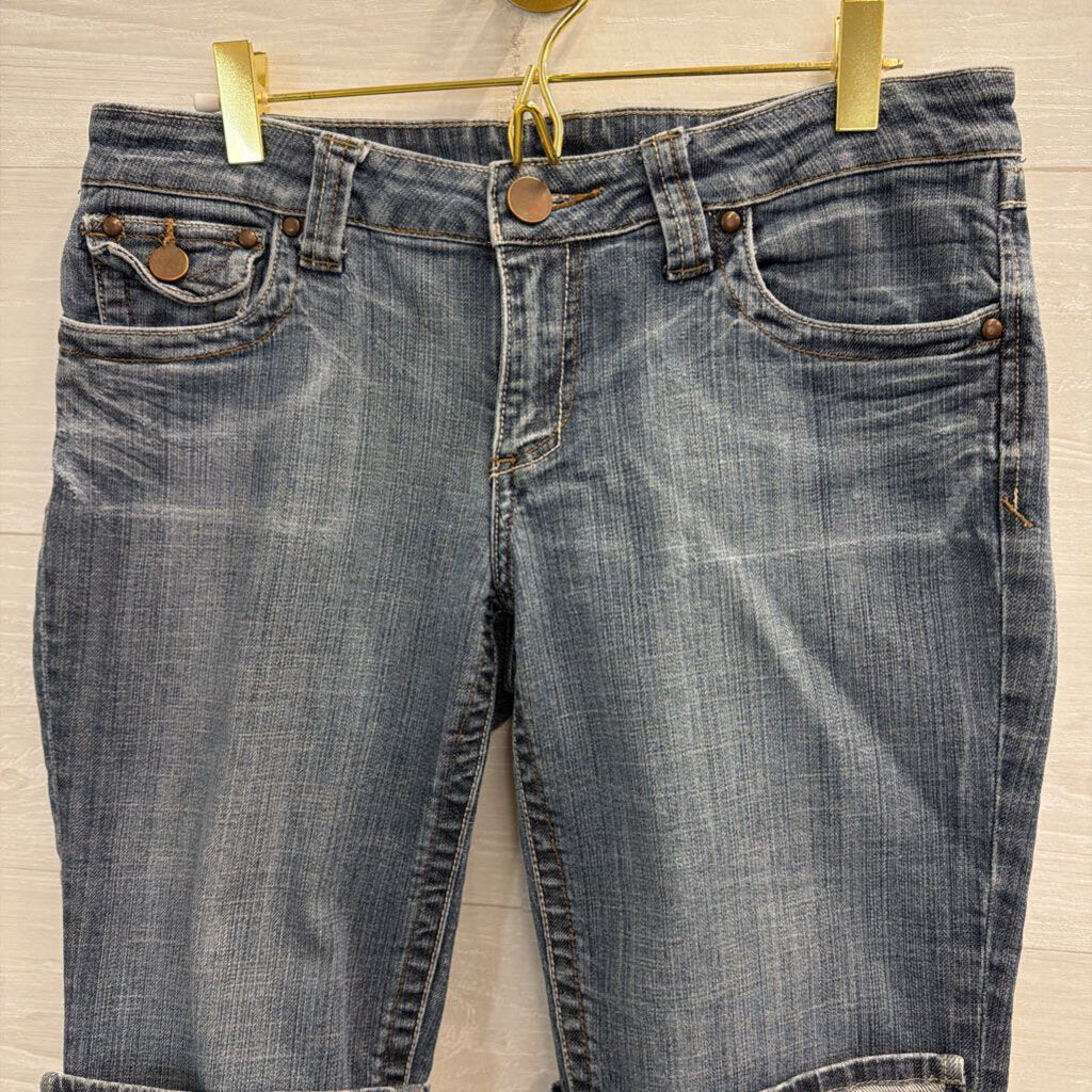 Medium Wash Denim Shorts Medium