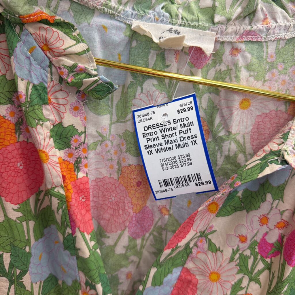 Entro White/ Multi Print Short Puff Sleeve Maxi Dress 1X