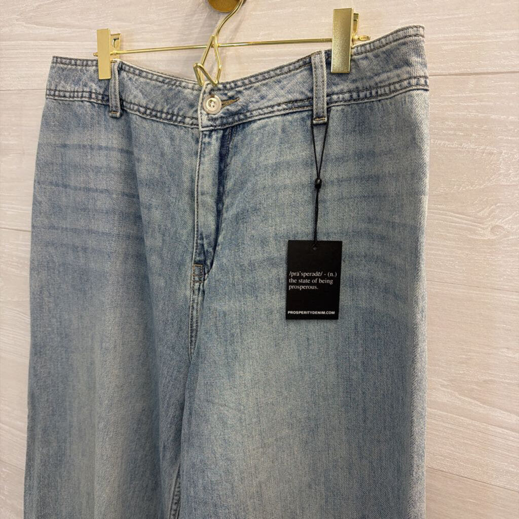Prosperity Light Wash Wide Leg Denim Jeans 31