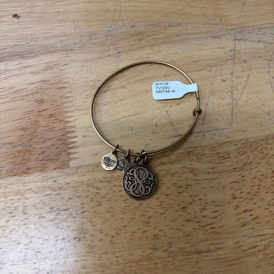 Alex and Ani Gold Path of Life Charm Bracelet