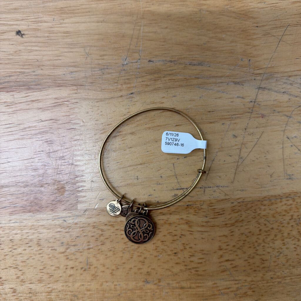 Alex and Ani Gold Path of Life Charm Bracelet