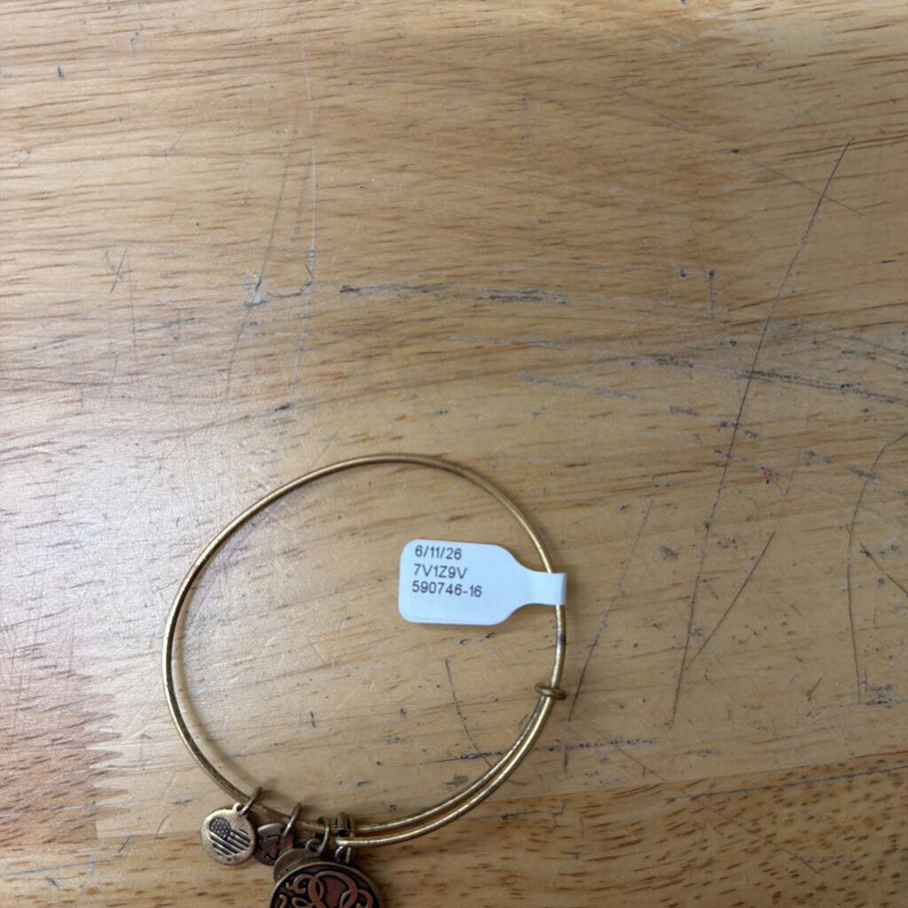 Alex and Ani Gold Path of Life Charm Bracelet