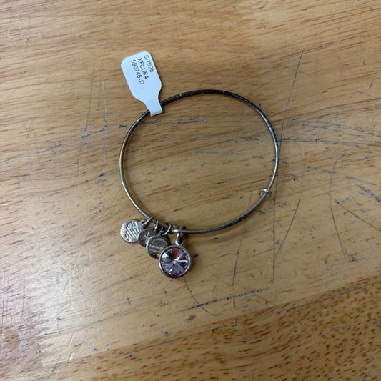 Alex and Ani Silver Purple Stone Charm Bracelet