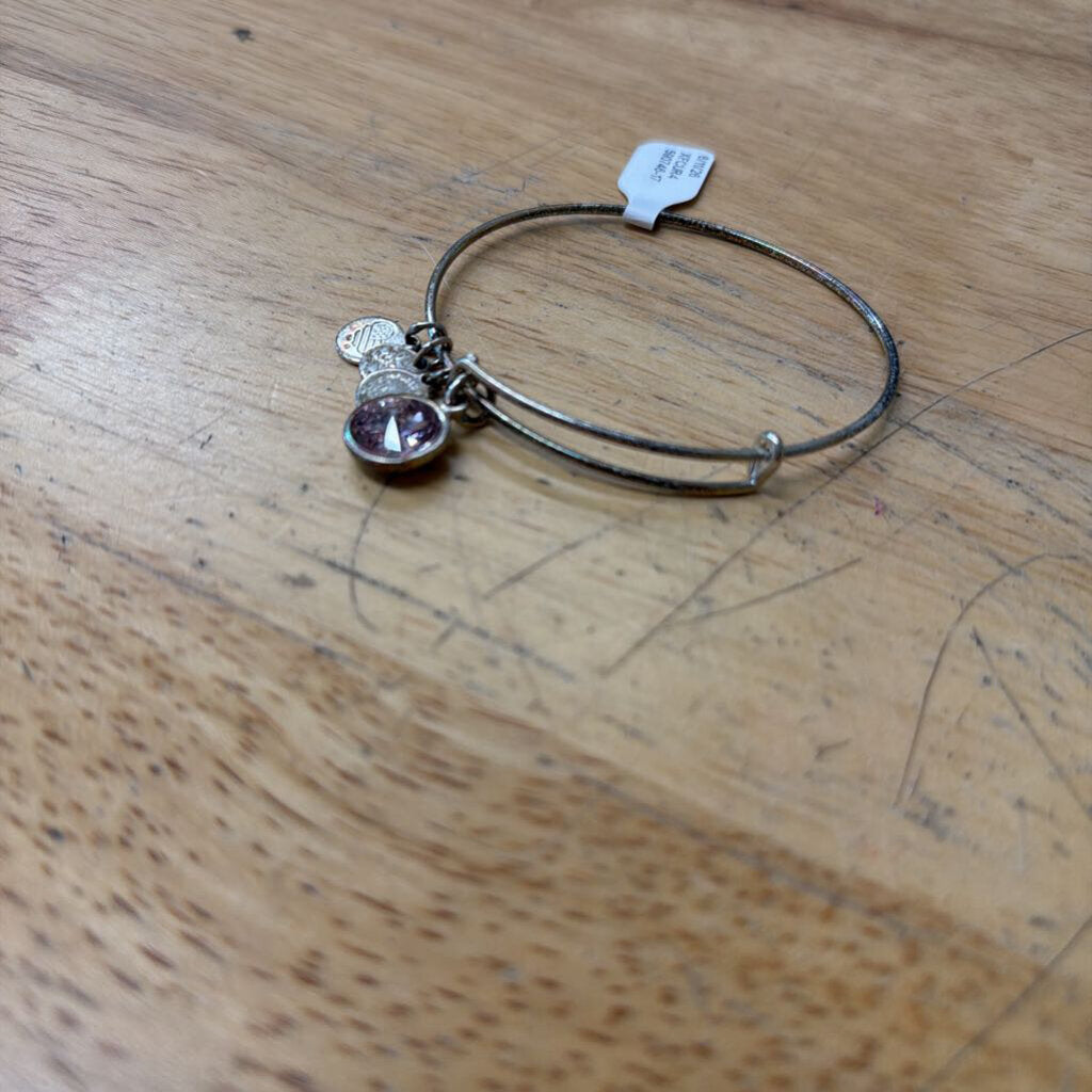 Alex and Ani Silver Purple Stone Charm Bracelet