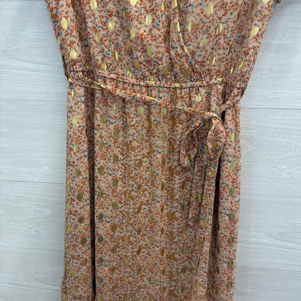 Blush/ Multi Floral Print Metallic Gold Dot Short Sleeve Midi Dress Medium