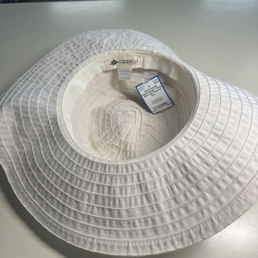 Capelli Neutral Wide Brim Hat