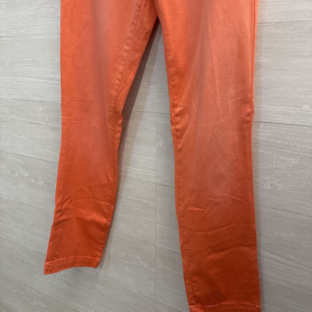 Pilcro by Anthropologie Coral Slim Chino Pants 26