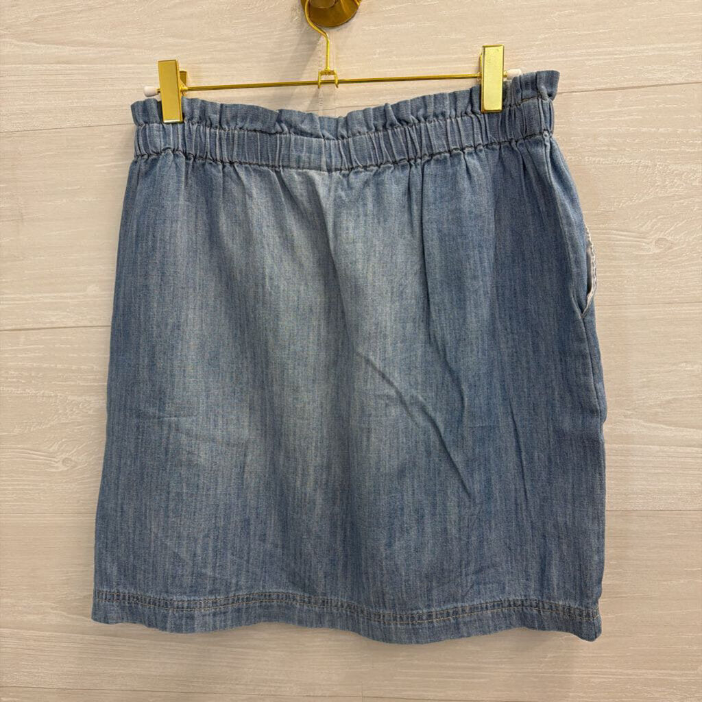 Light Blue Chambray Skirt Extra Small