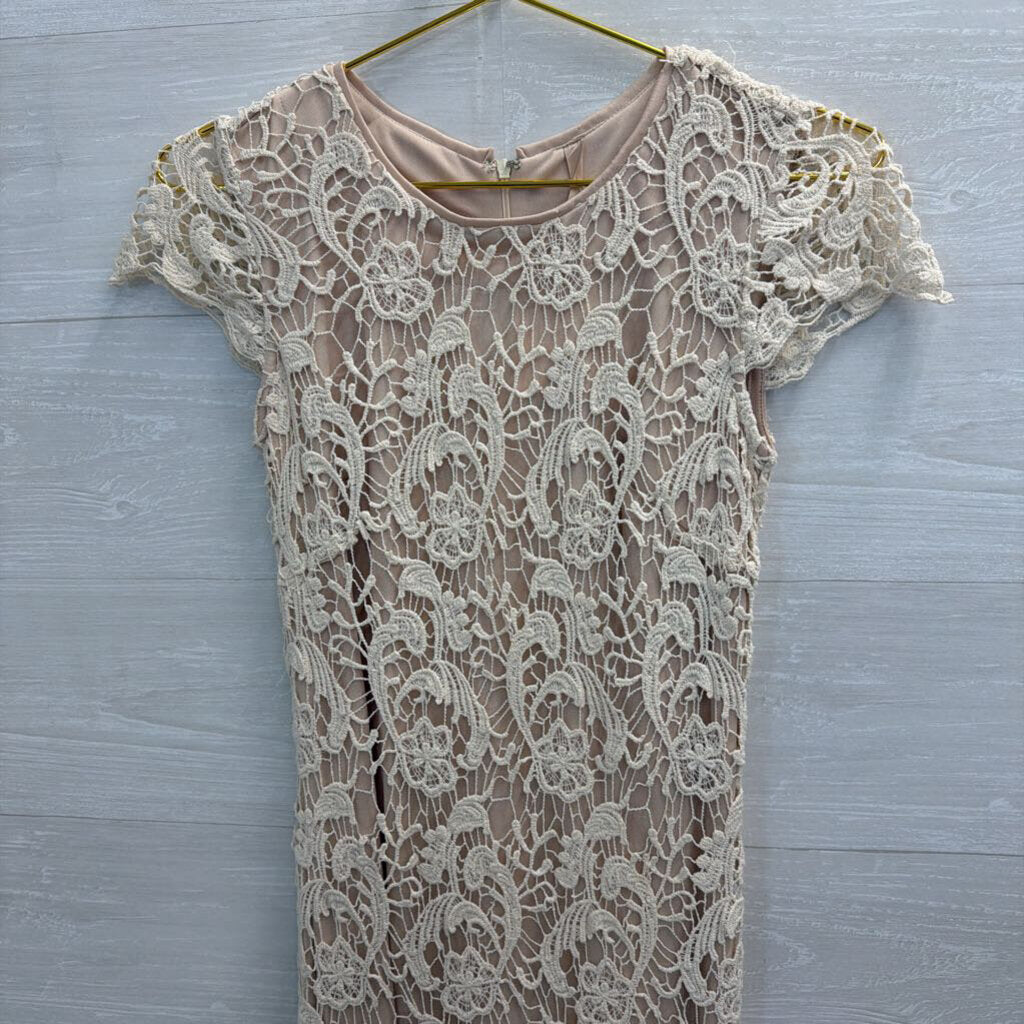 Mystree Beige Lace Short Sleeve Dress Small