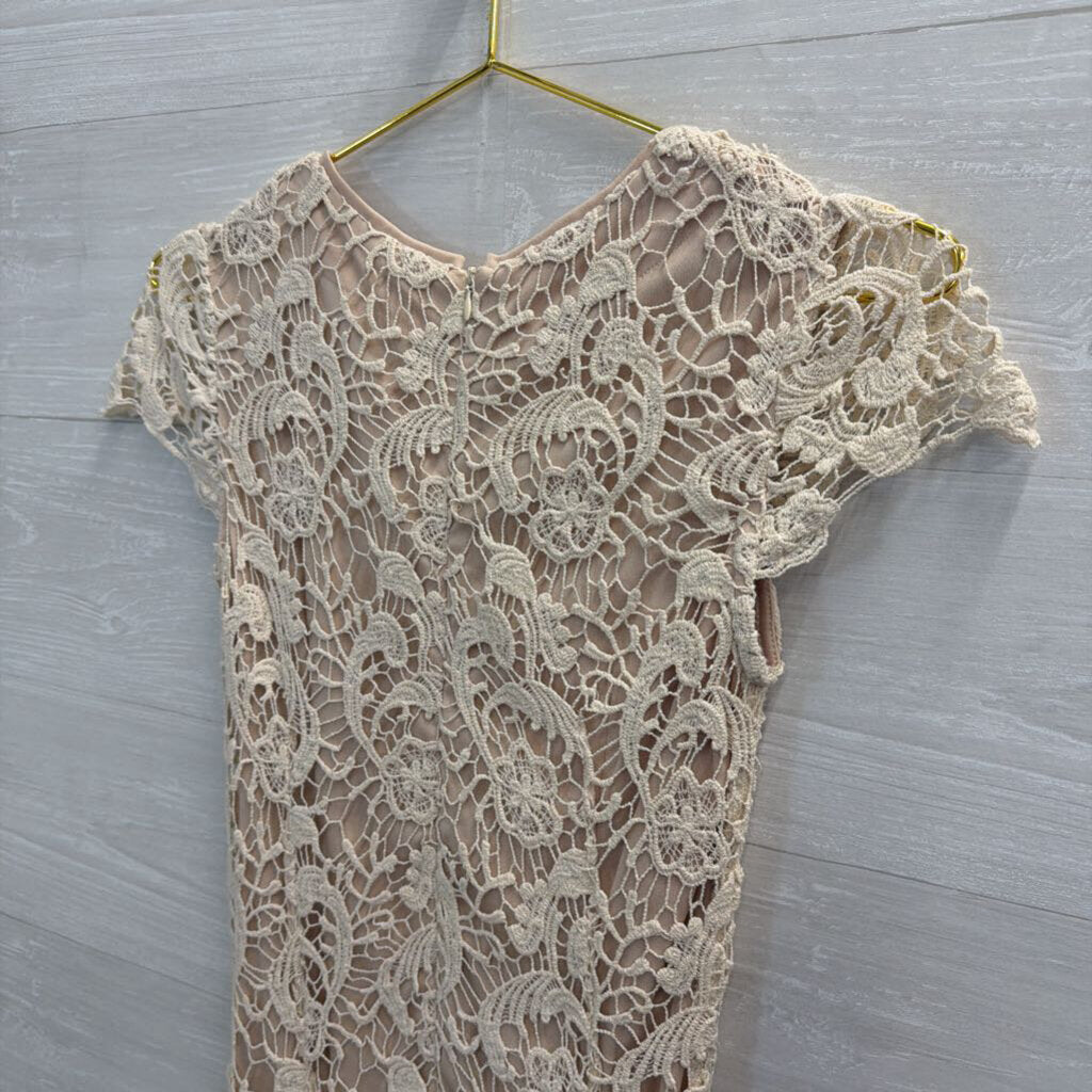 Mystree Beige Lace Short Sleeve Dress Small