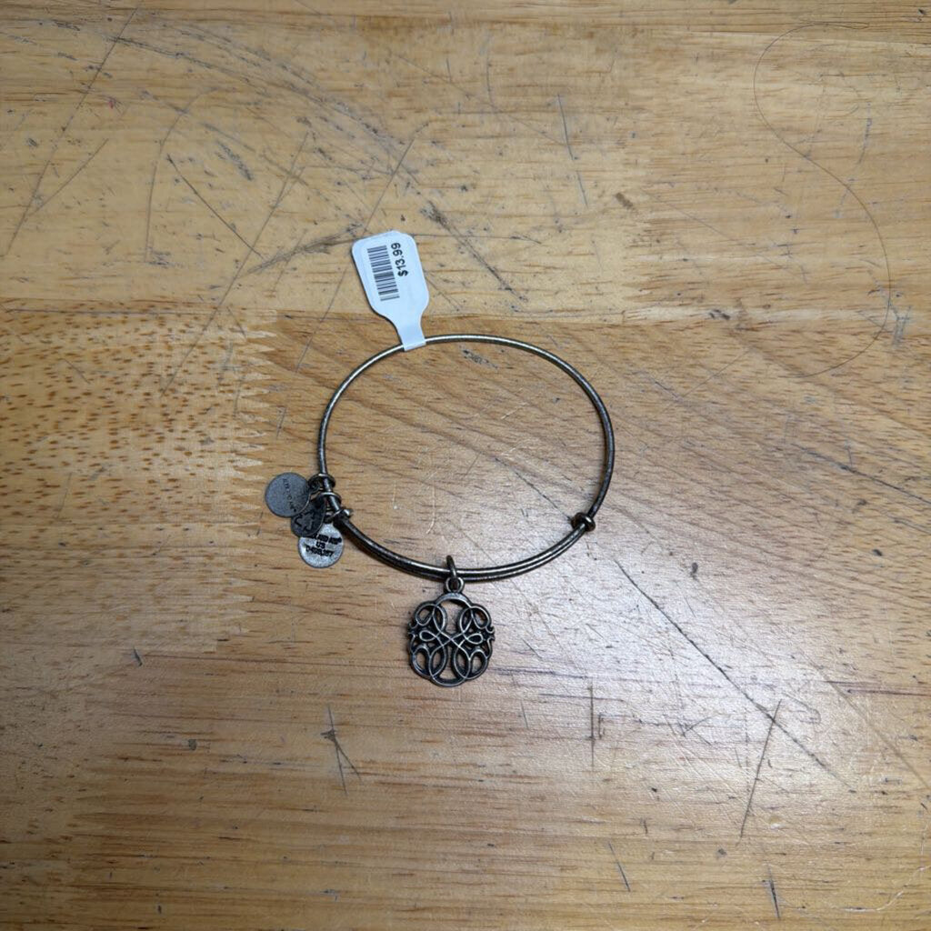 Alex and Ani Silver Charm Bracelet