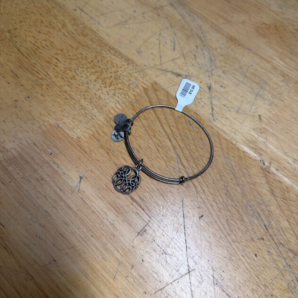 Alex and Ani Silver Charm Bracelet