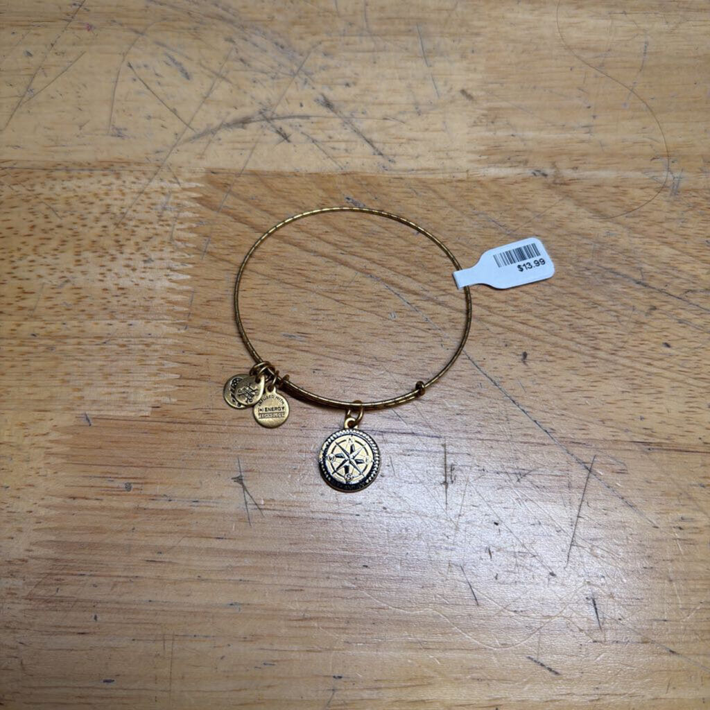 Alex and Ani Gold Compass Charm Bracelet