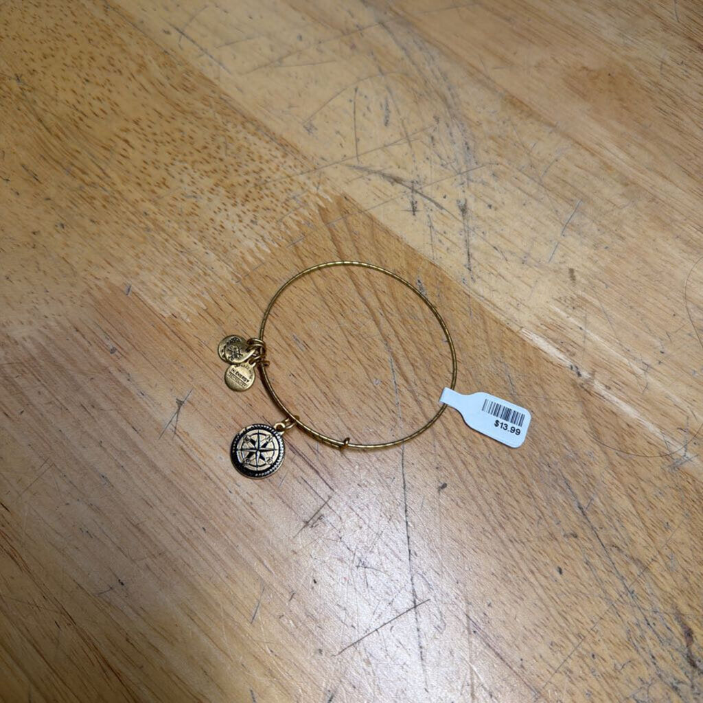 Alex and Ani Gold Compass Charm Bracelet