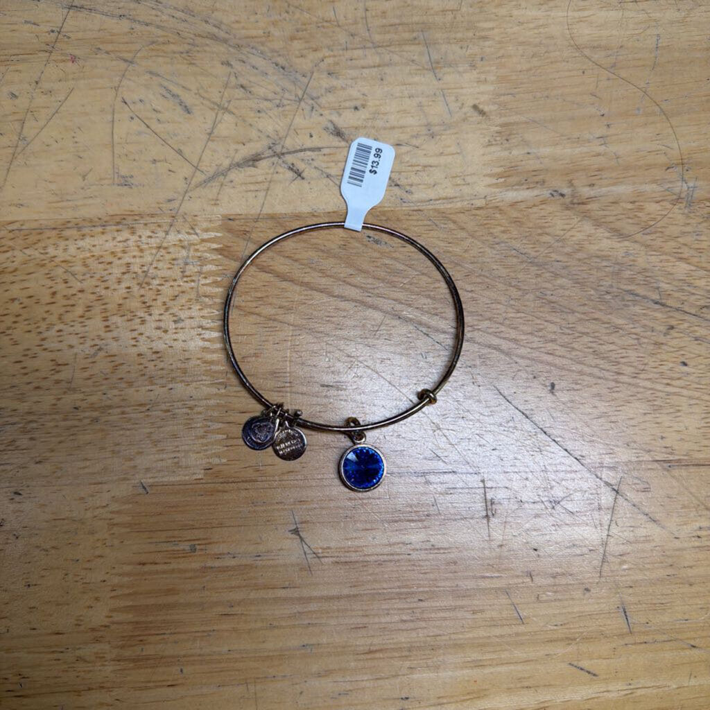 Alex and Ani Gold Blue Stone Charm Bracelet