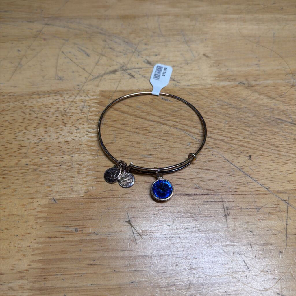 Alex and Ani Gold Blue Stone Charm Bracelet