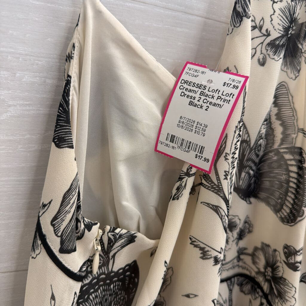 Loft Cream/ Black Print Dress 2