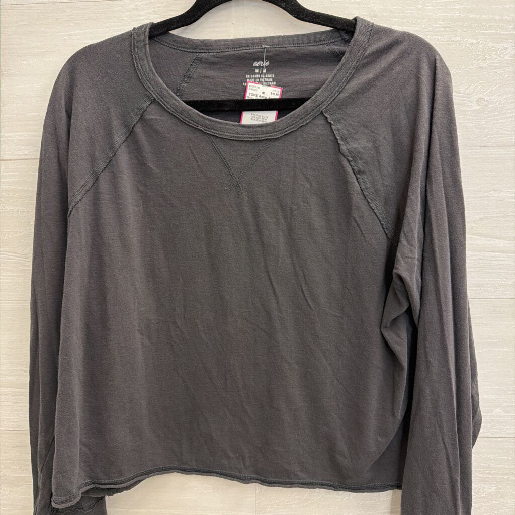 Aerie Grey Cropped Long Sleeve Top Medium