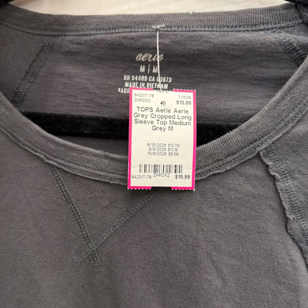 Aerie Grey Cropped Long Sleeve Top Medium