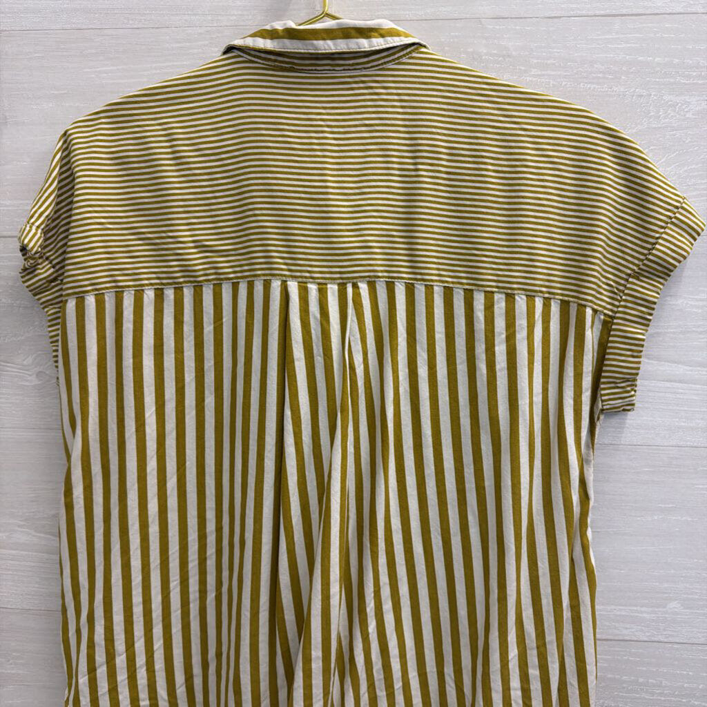 Jane and Delancey White/ Green Striped Short Sleeve Button Down Top Medium