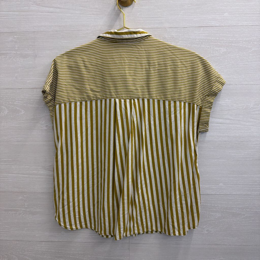 Jane and Delancey White/ Green Striped Short Sleeve Button Down Top Medium