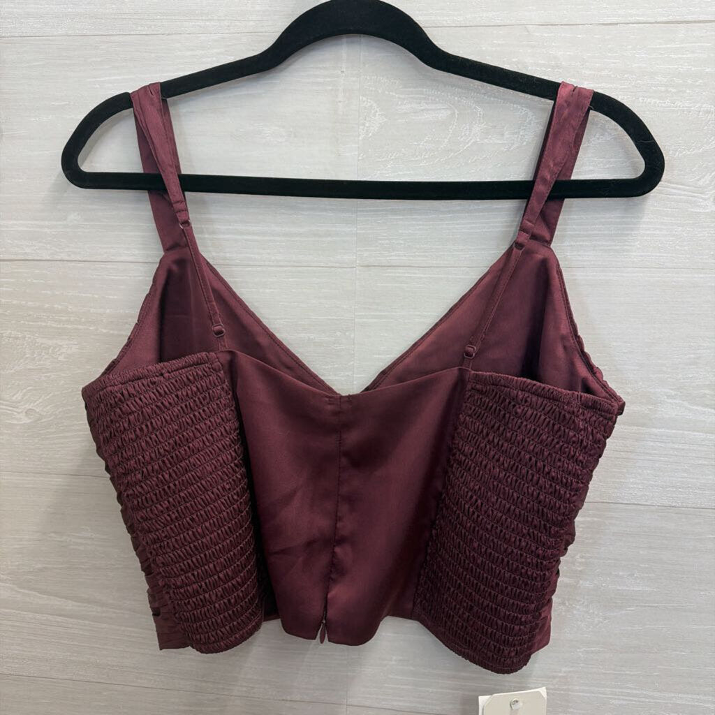 Abercrombie and Fitch Purple Cropped Silky Pleated Top Large