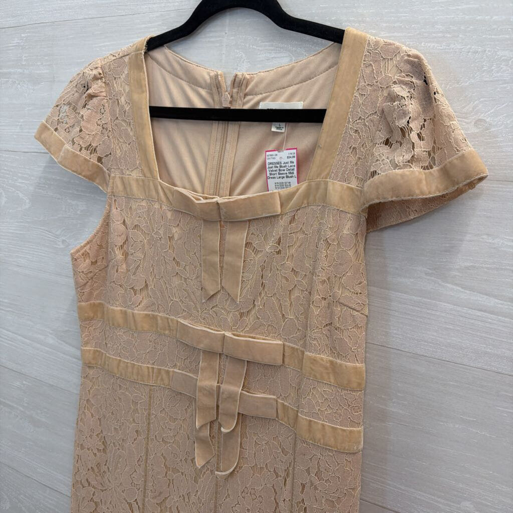 Just Me Blush Lace Velvet Bow Detail Short Sleeve Midi Dress Large