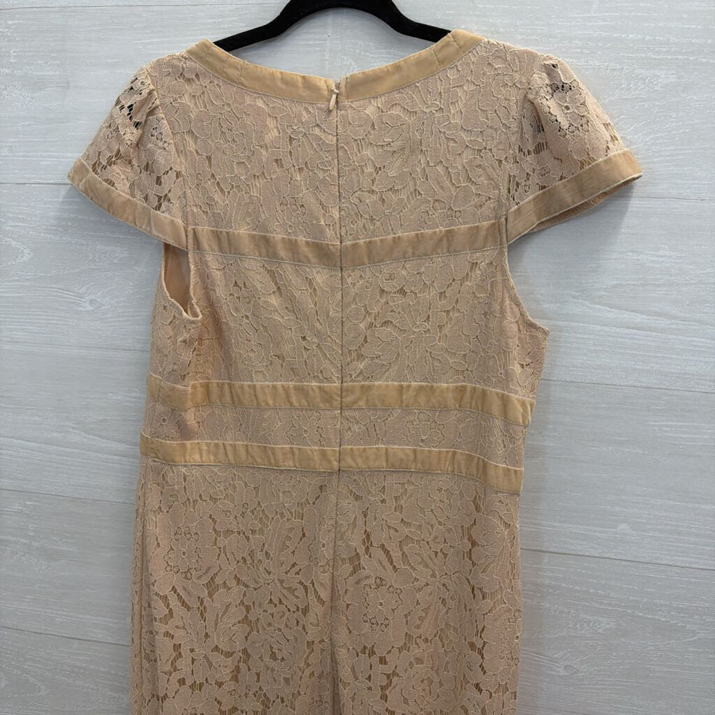 Just Me Blush Lace Velvet Bow Detail Short Sleeve Midi Dress Large