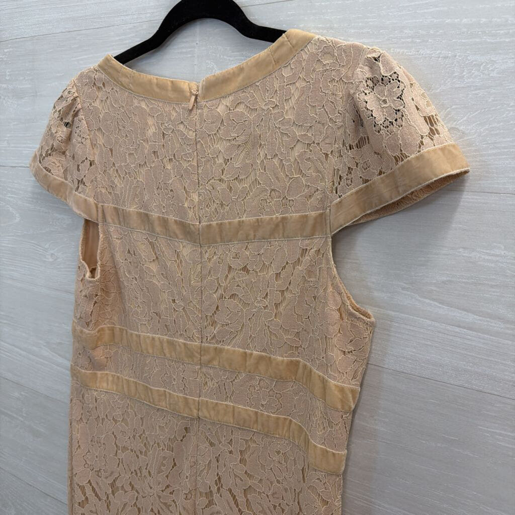 Just Me Blush Lace Velvet Bow Detail Short Sleeve Midi Dress Large