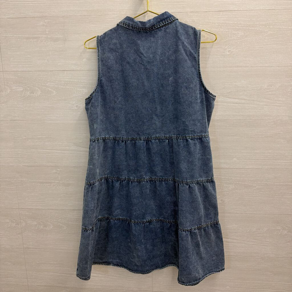 Medium Wash Sleeveless Button Front Dress Medium