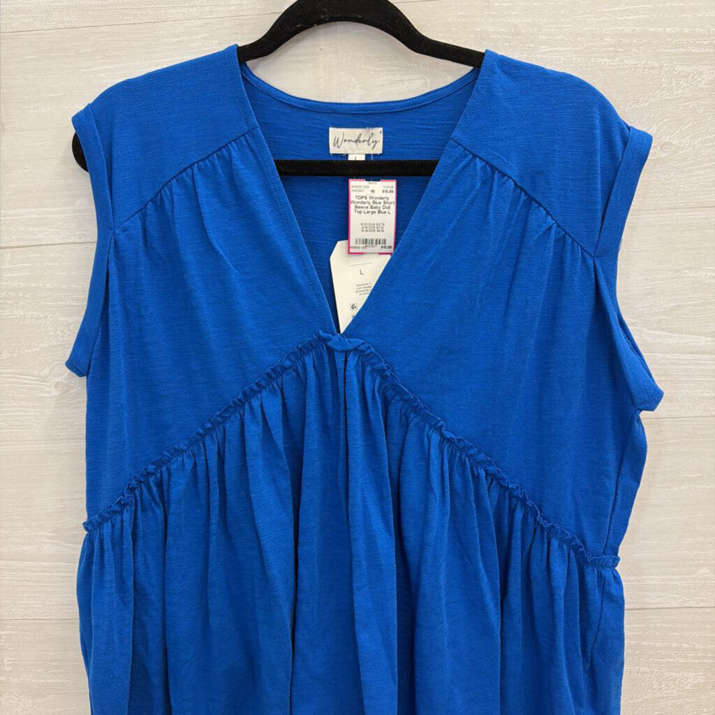 Wonderly Blue Short Sleeve Baby Doll Top Large