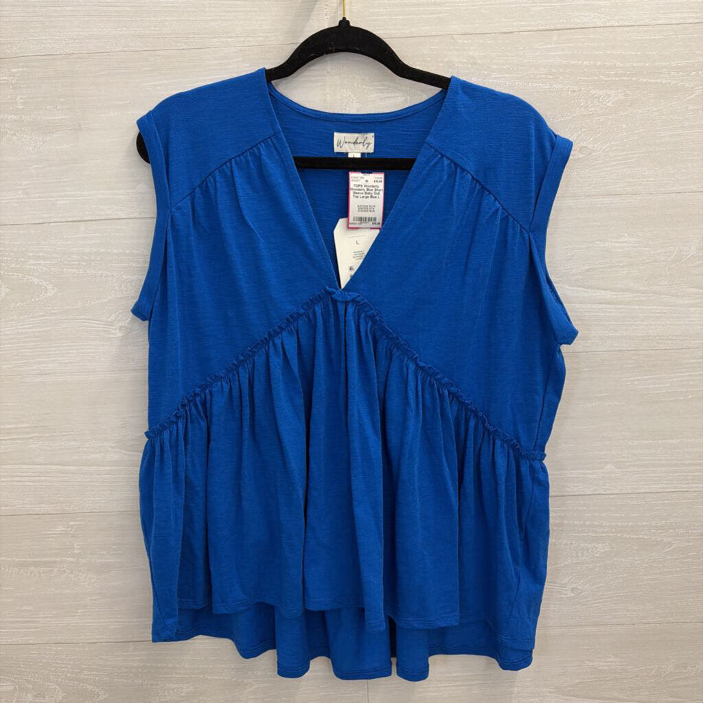 Wonderly Blue Short Sleeve Baby Doll Top Large