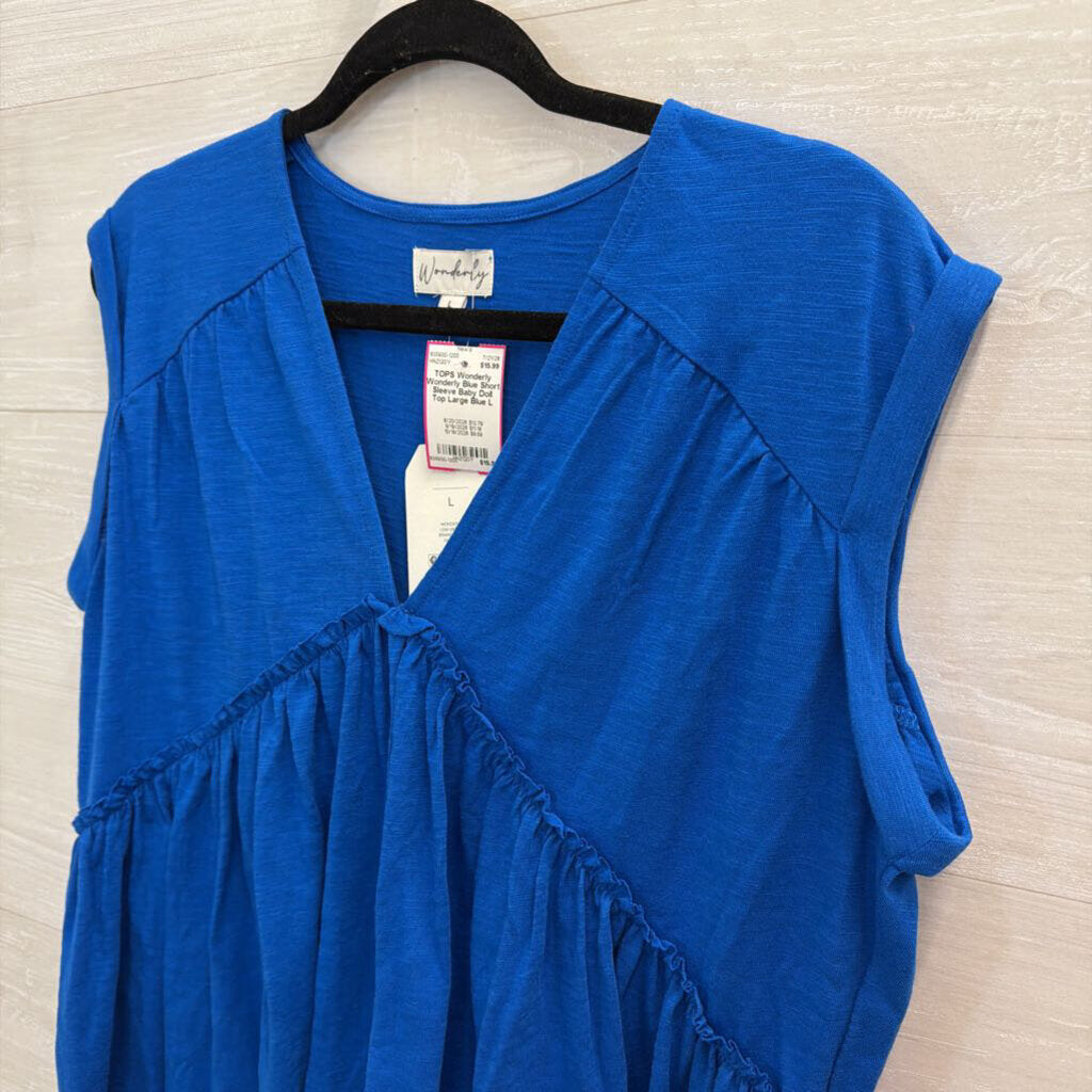 Wonderly Blue Short Sleeve Baby Doll Top Large