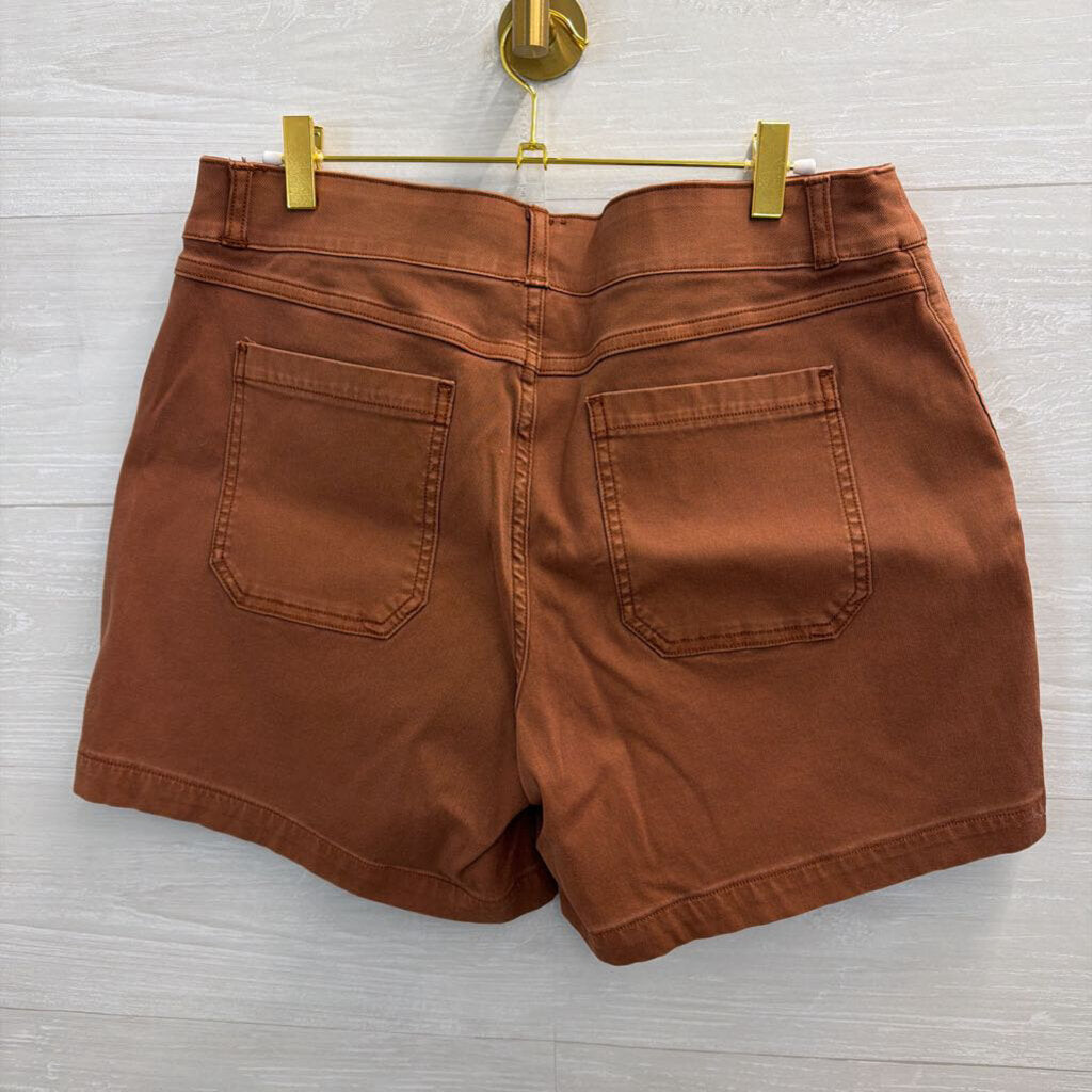 Spanx Brown Pull On Shorts Large