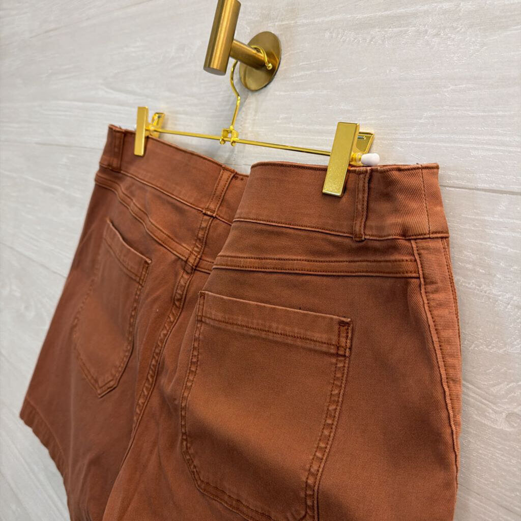 Spanx Brown Pull On Shorts Large