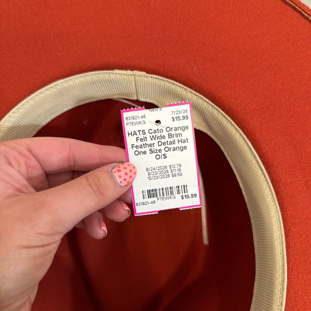 Orange Felt Wide Brim Feather Detail Hat One Size
