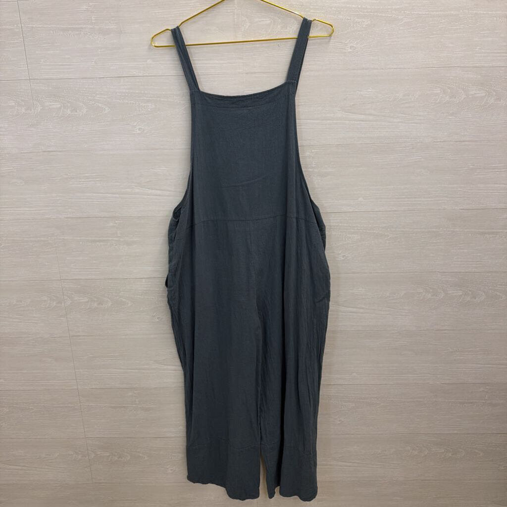 Blue Wide Leg Overall Jumpsuit Medium