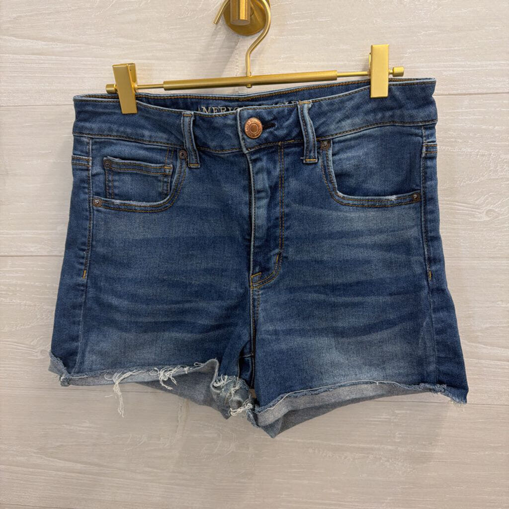 American Eagle Dark Wash Denim Shorts 12