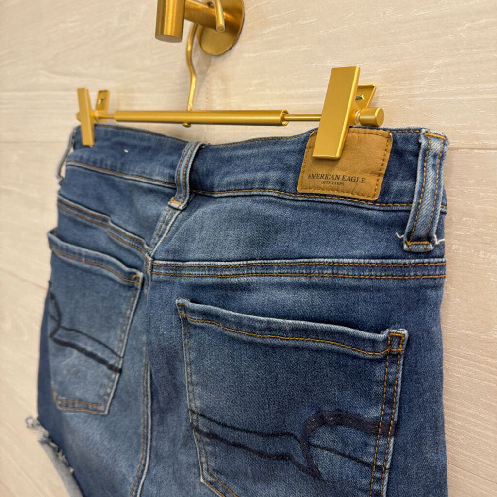 American Eagle Dark Wash Denim Shorts 12