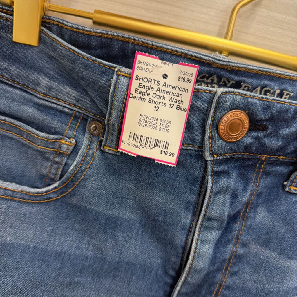 American Eagle Dark Wash Denim Shorts 12