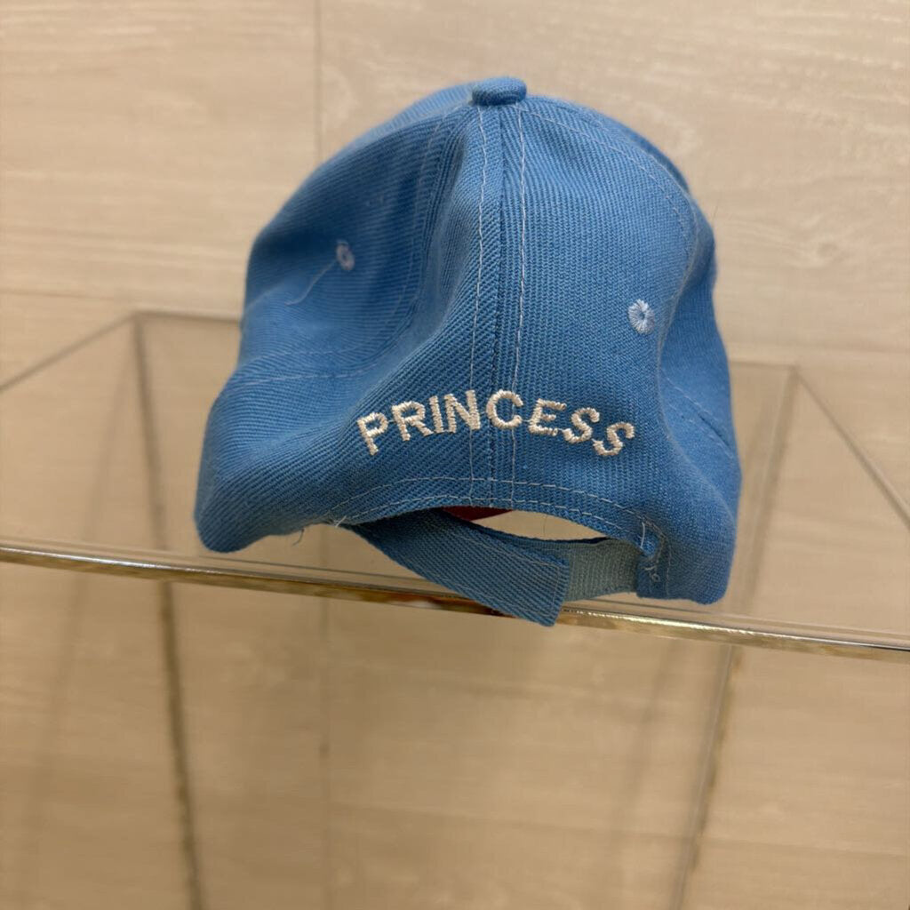 Blue/ Pink Embroidered Princess Baseball Hat
