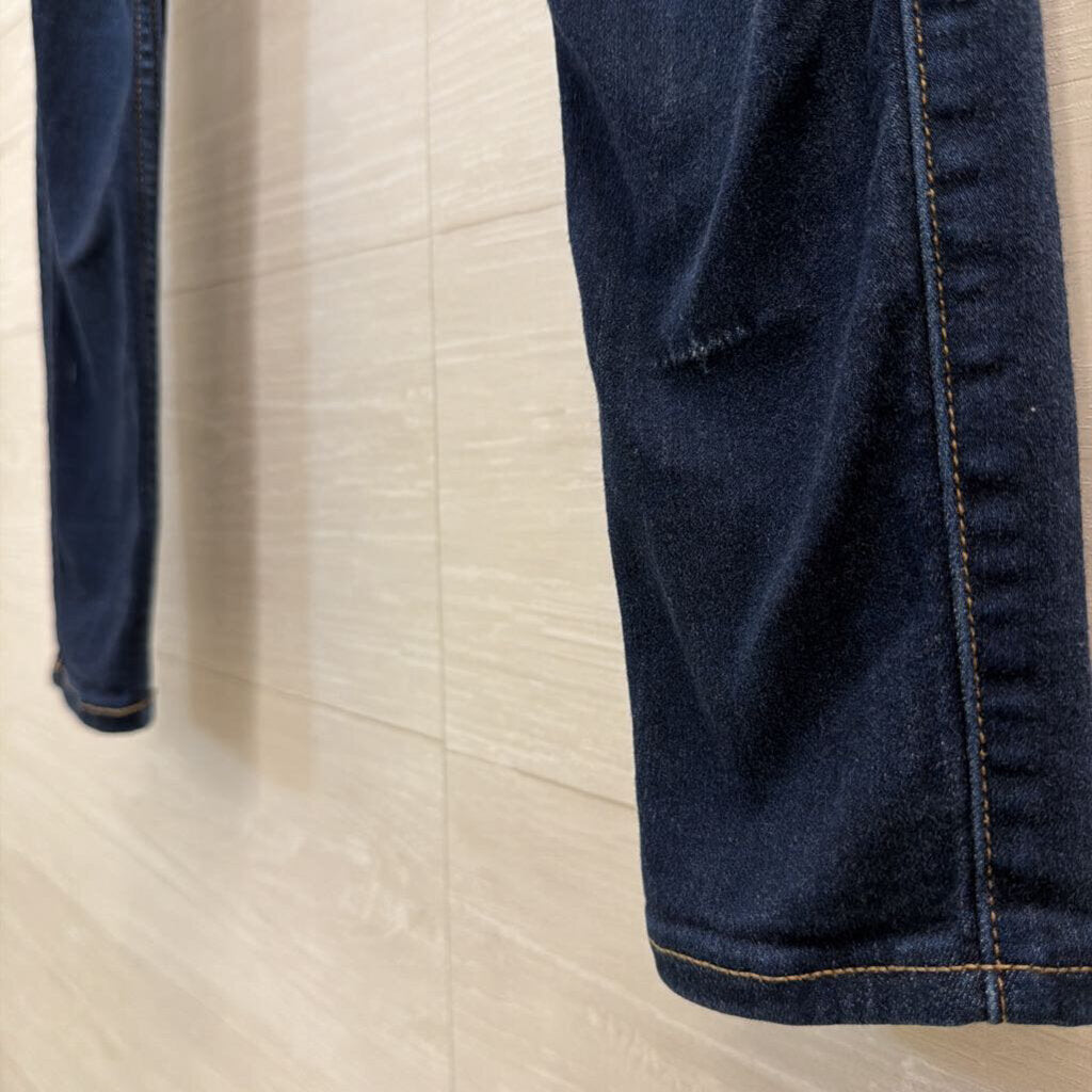 Hollister Dark Wash Low Rise Jeggings 25