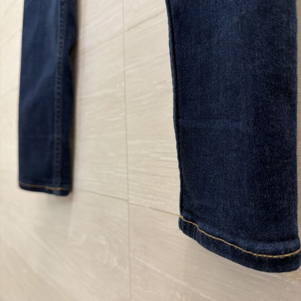 Hollister Dark Wash Low Rise Jeggings 25
