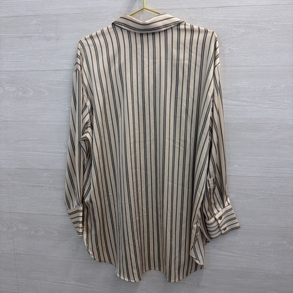 Rachel Zoe Cream/ Grey Silky Striped Long Sleeve Button Down Top Large