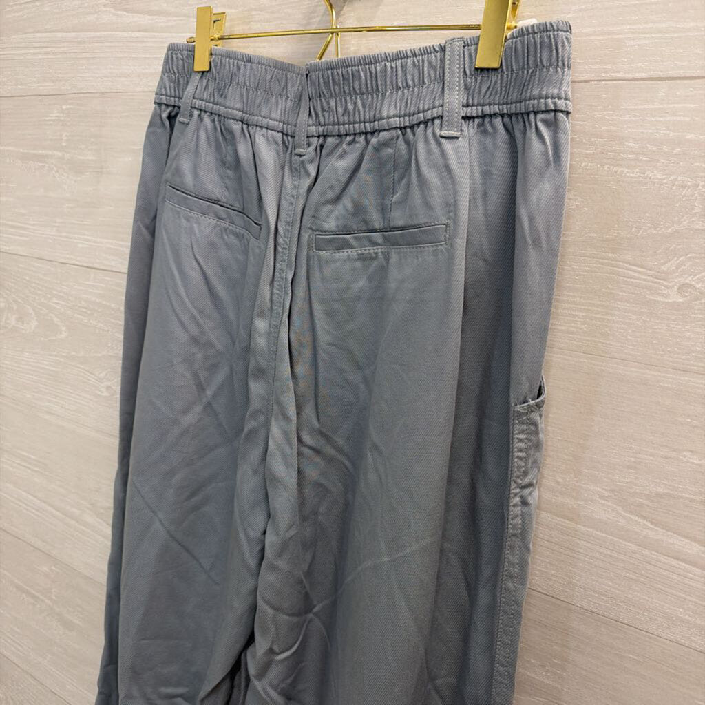 Madewell Blue Wide Leg Trouser Pants 6 Petite