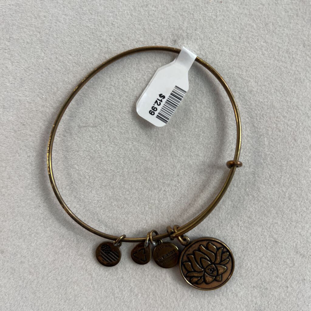 Alex and Ani Gold Charm Bangle Bracelet
