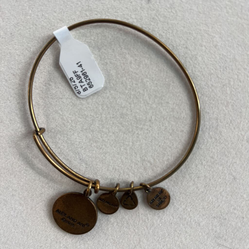 Alex and Ani Gold Charm Bangle Bracelet