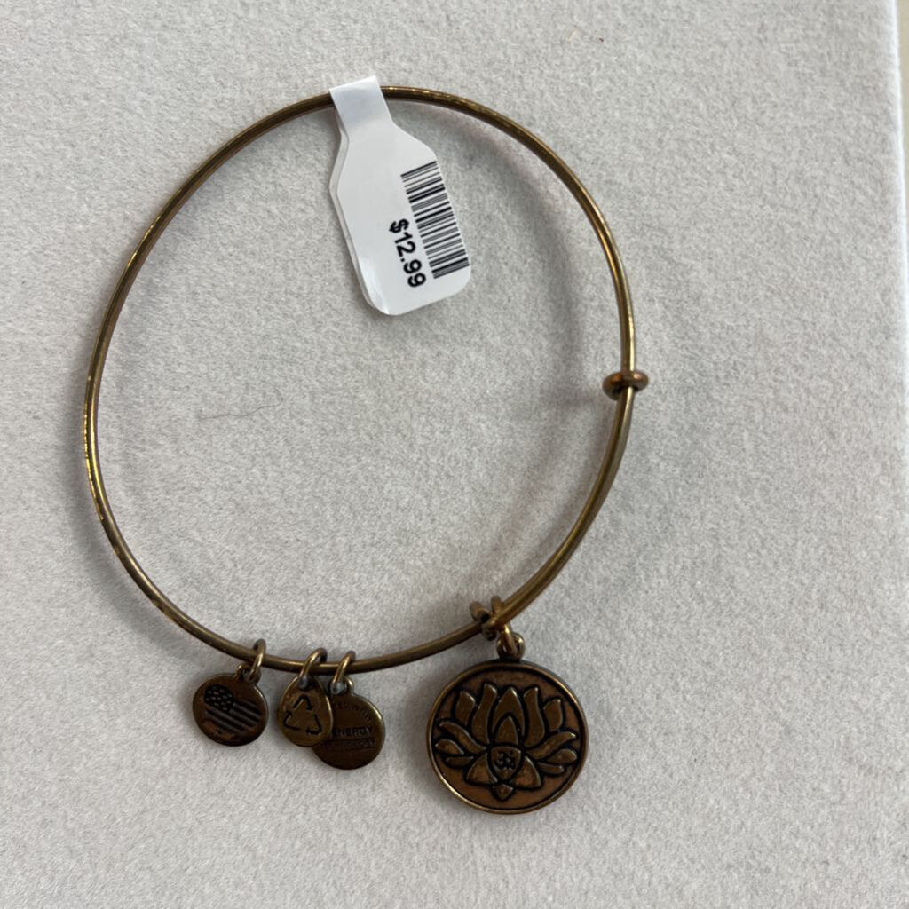 Alex and Ani Gold Charm Bangle Bracelet