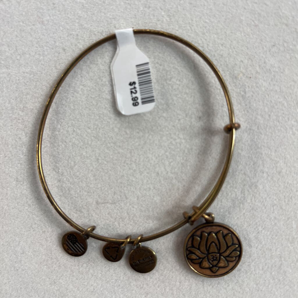 Alex and Ani Gold Charm Bangle Bracelet